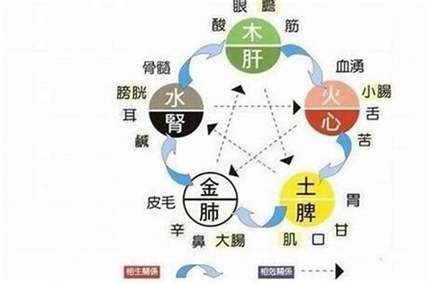 命格缺水|五行缺水的怎么补救，八字缺水最好的补水解决方法